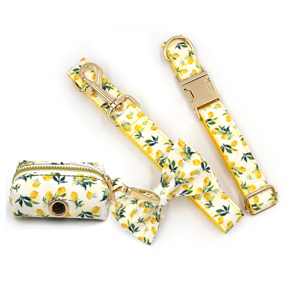 Personalized Pet Collar for Ca - Luxury Bags Medium Size recensione e prezzo