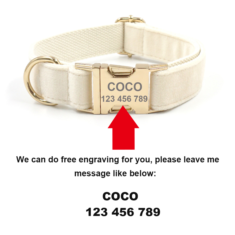 Personalized Pet Collar for Ca - Luxury Bags Medium Size recensione e prezzo