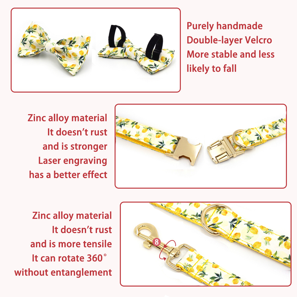 Personalized Pet Collar for Ca - Luxury Bags Medium Size recensione e prezzo